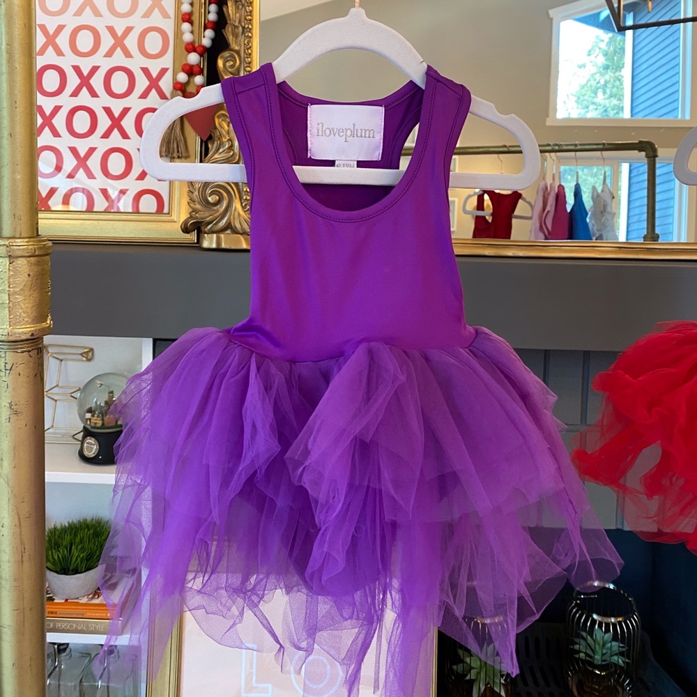 Plum NYC Tutu Dress